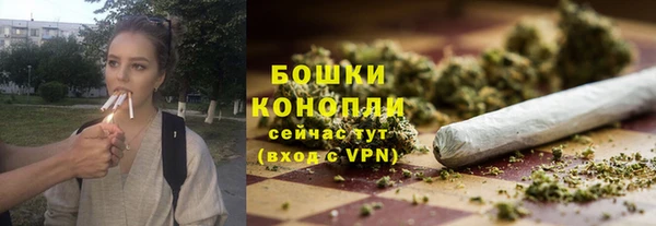ешки Иннополис