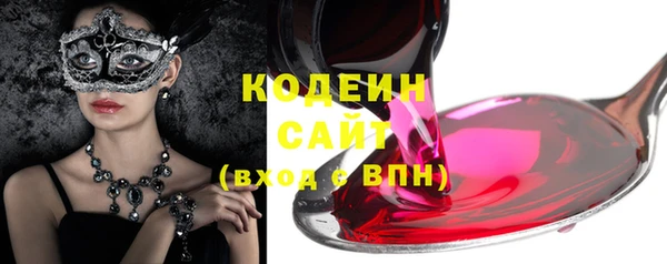 ешки Иннополис