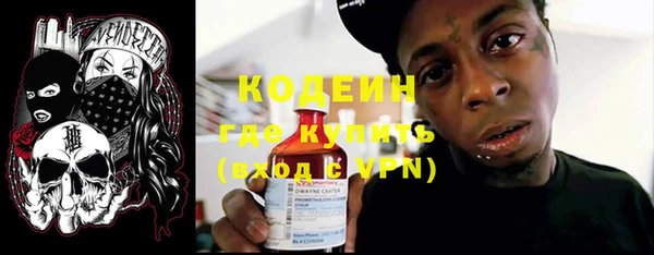 ешки Иннополис