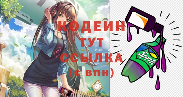 ешки Иннополис