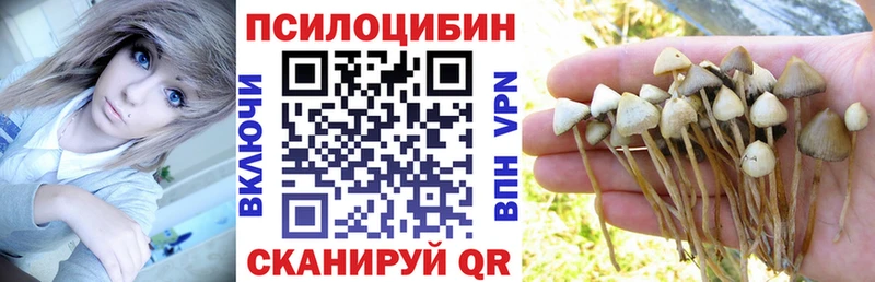 Купить где  Ахтубинск  Галлюциногенные грибы прущие грибы 